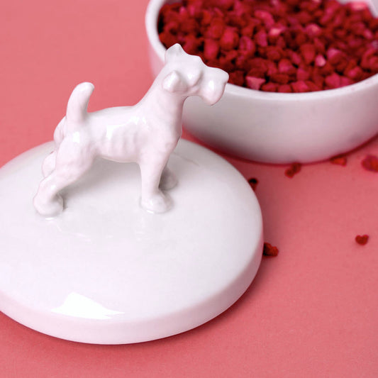 Porzellan-Dose mit Schnauzerfigur, feinesweißes Berlin – handgefertigtes Porzellandesign von Katy Jung, modernes Sammler- und Geschenkobjekt