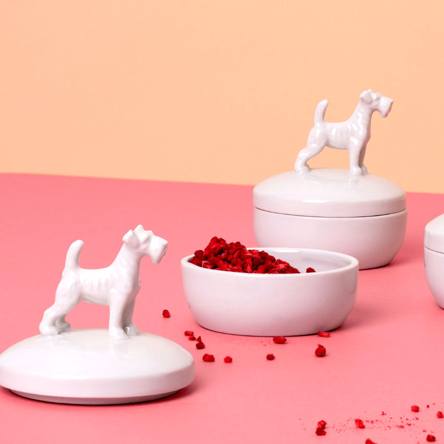 Schnauzer-Dose aus Porzellan, feinesweißes Berlin – handgefertigte Porzellandose mit Hundefigur, Design von Katy Jung, Porzellandesign Berlin